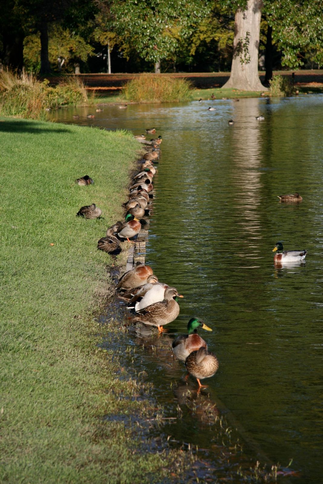 2009 Christchurch