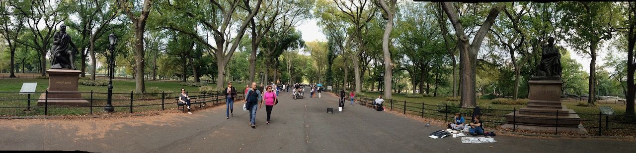 Day 01: A walk in the park