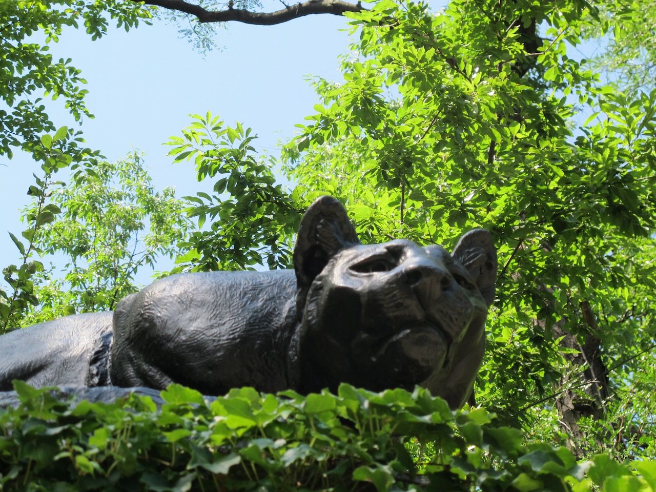 Day 04: The Park, still searching, hunting