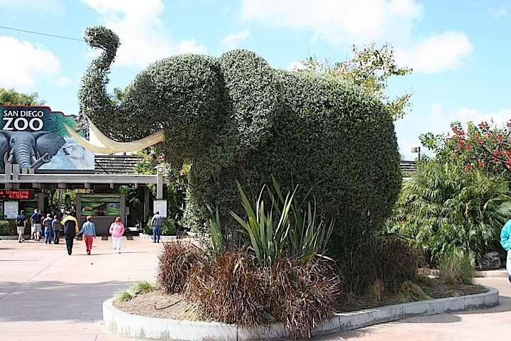 2006: San Diego