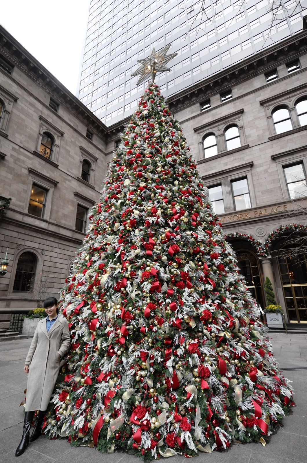 Day 23: A tree, tenement and tea