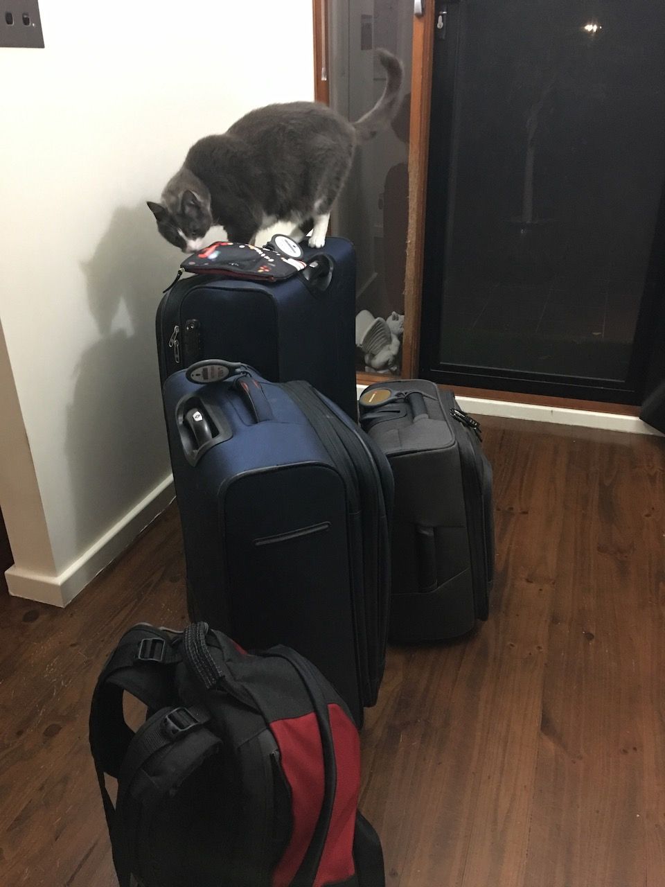 Day 00: Journey Start