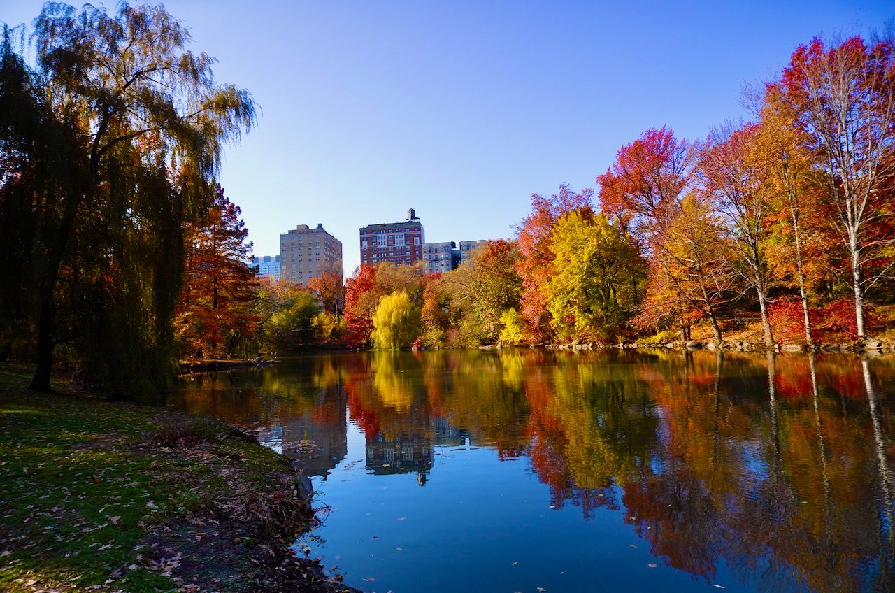 Day 08: A Central Park we've never seen