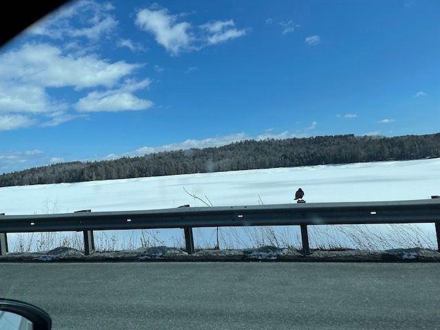 Day 09 - Boston to Montreal
