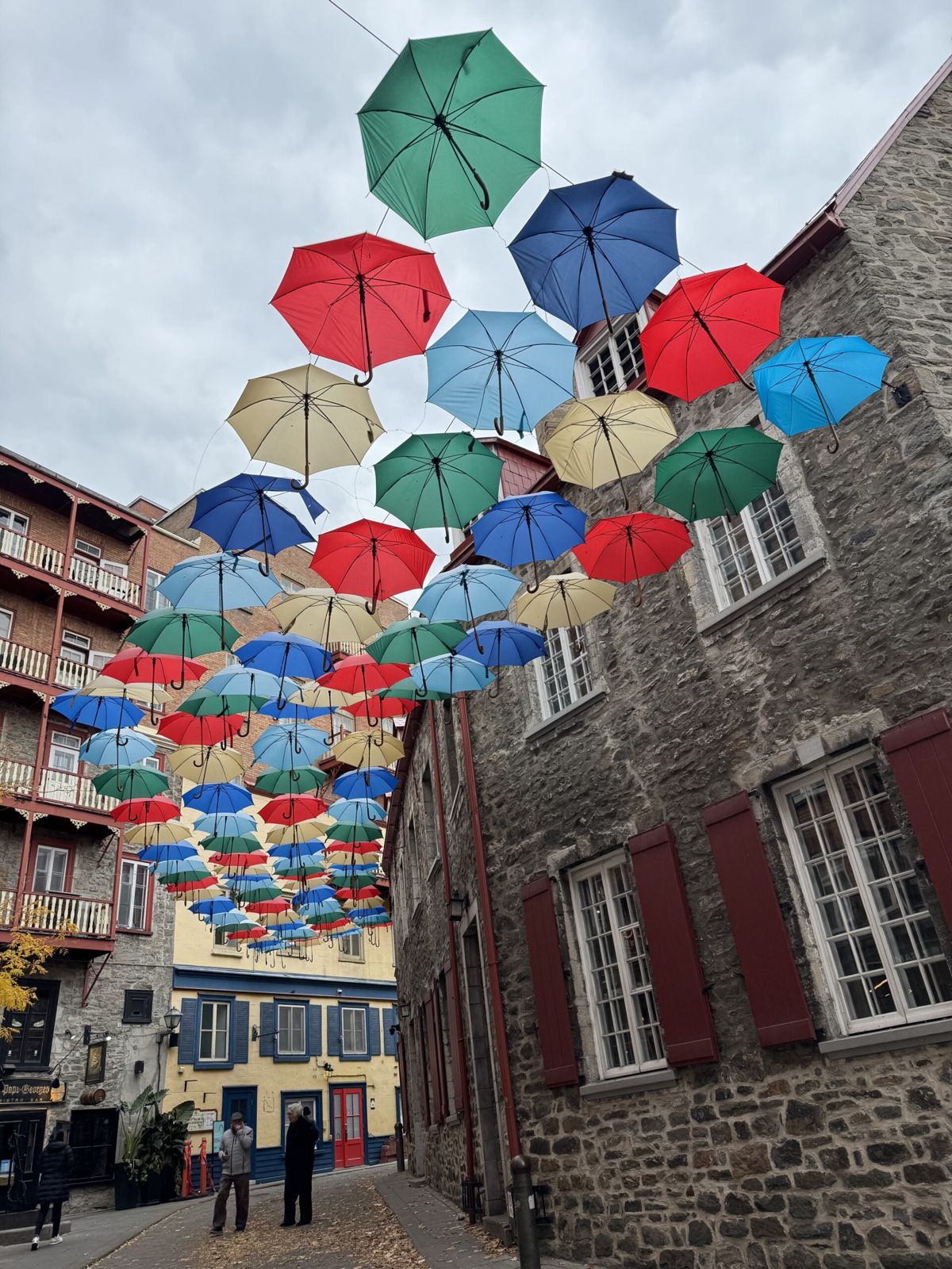 Multi coloured umbrellas hang in a curved street. They are 25 feet off the ground  the form a pattern. 4 across and 15 rows of them. 