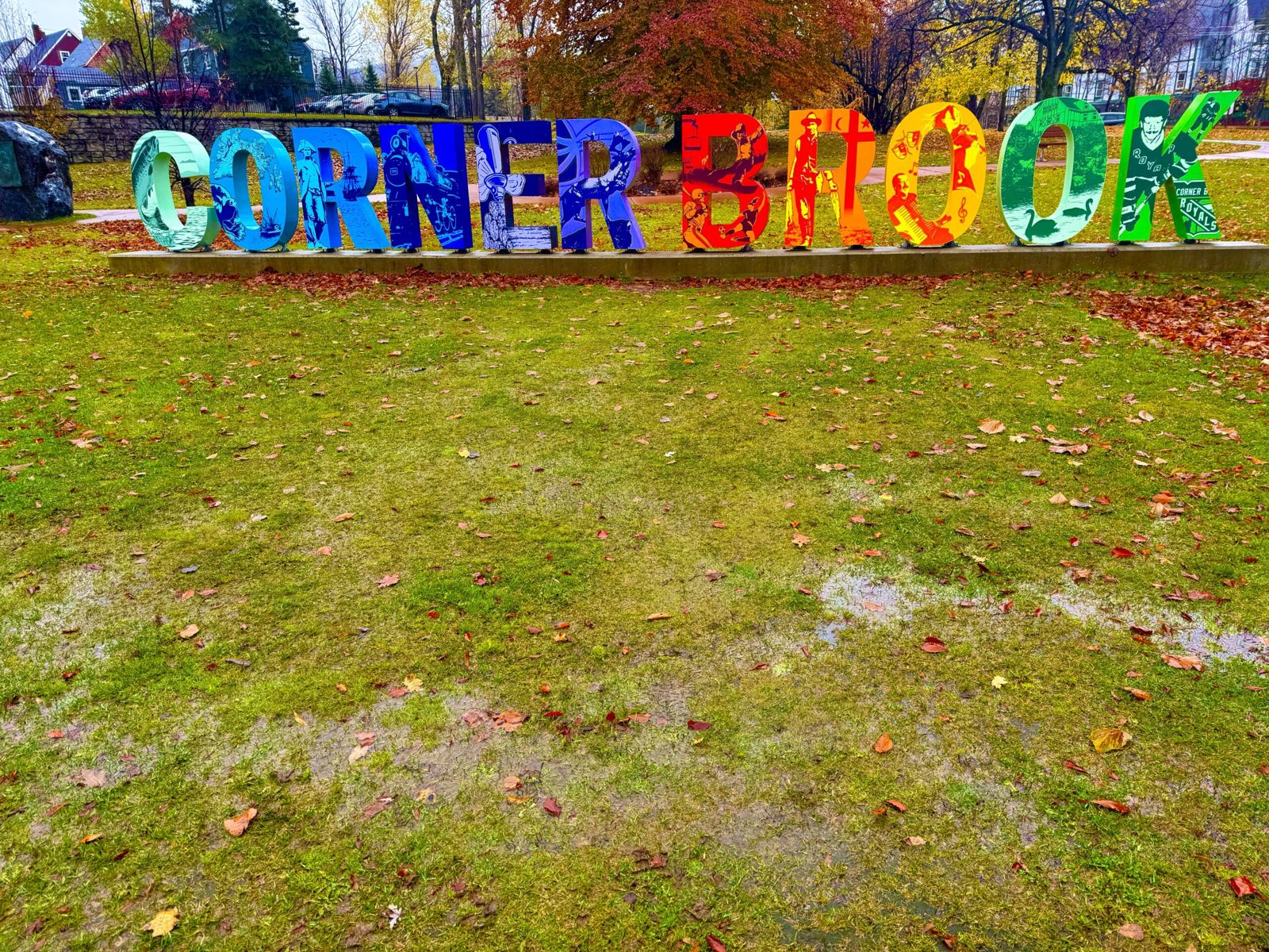 Day 06: Chipper in Corner Brook
