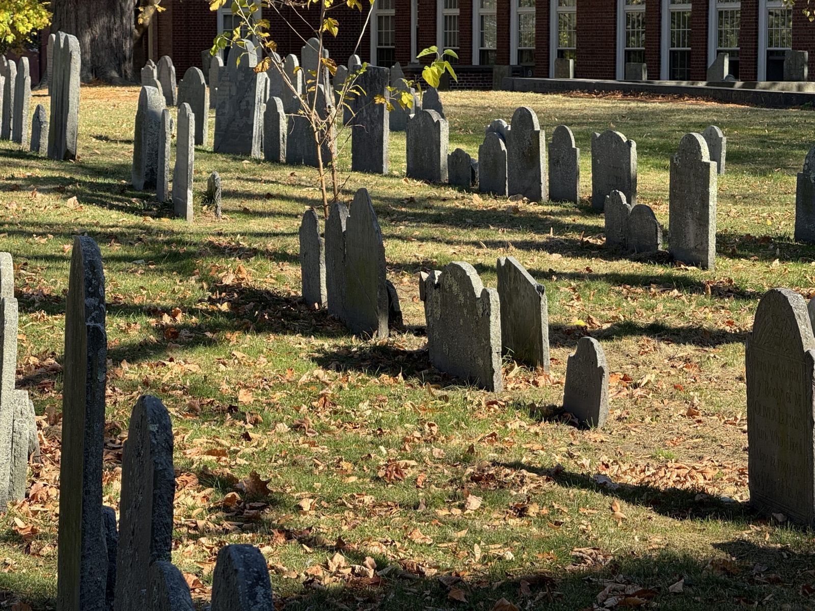 Cobb burying ground. Numerous headstone cast shadows in the afternoon sun. 