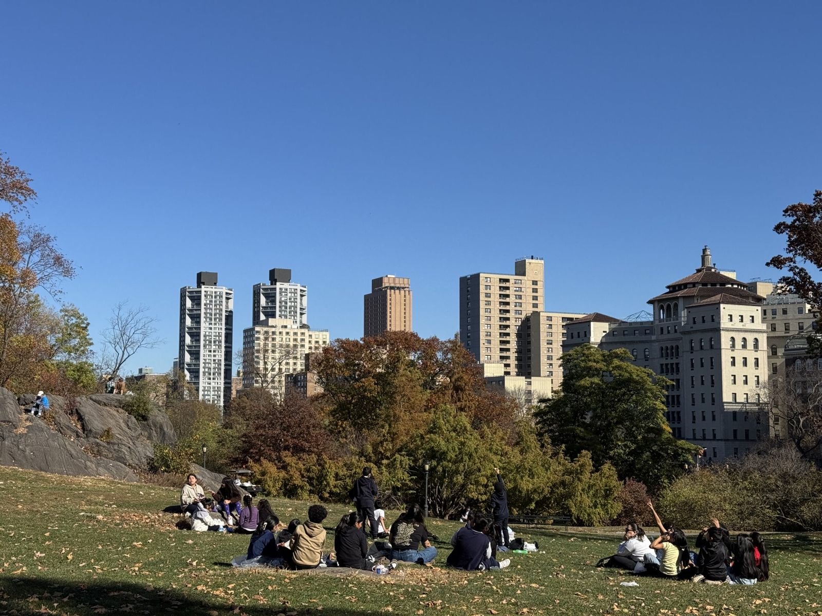 The New York 5th Avenue buildings in the background against a clear blue sky. A large tree and children in the foreground playing in Central Park