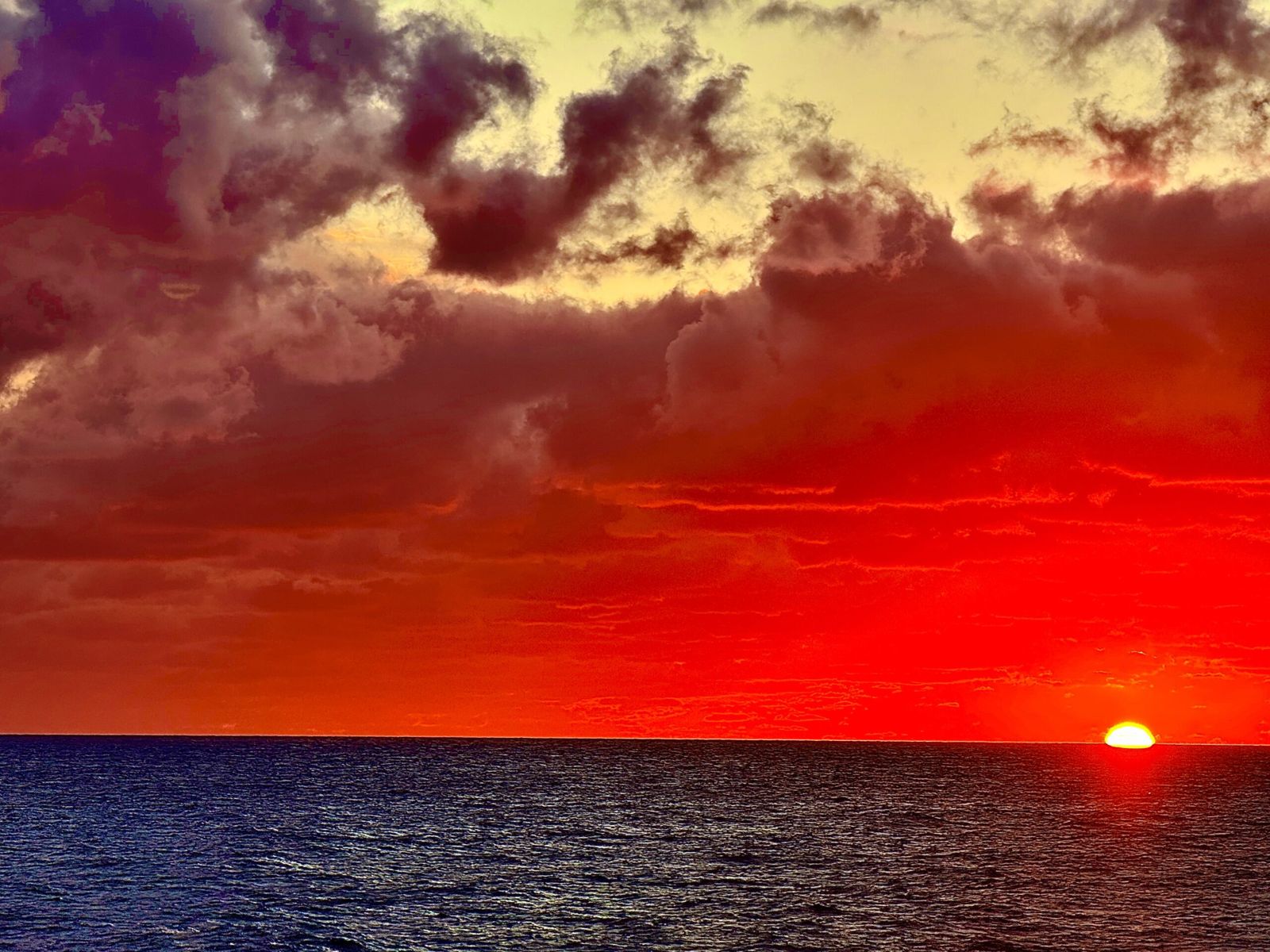 Day 33: Thanks (giving) Bermuda