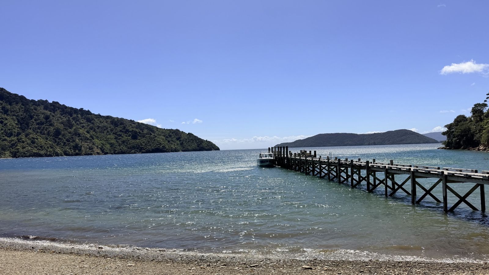Day 06 – Picton, Wind, Wildlife and the Sounds